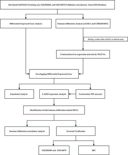 Figure 1 The workflow of this study.