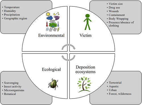 Figure 3 Variables affecting decomposition rate.