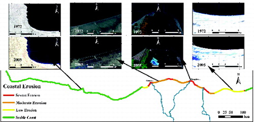 Figure 4. Shoreline position as extracted from MSS (1972) and ETM+ (2005) images, and the corresponding classification of coastal erosion pattern along Egypt's Mediterranean coast according to Thieler and Hammar-Klose Citation(1999).
