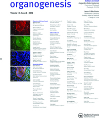 Cover image for Organogenesis, Volume 12, Issue 3, 2016