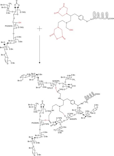 Figure 1 Suggested chemical structure of a stronger derivation than Globo H KLH.