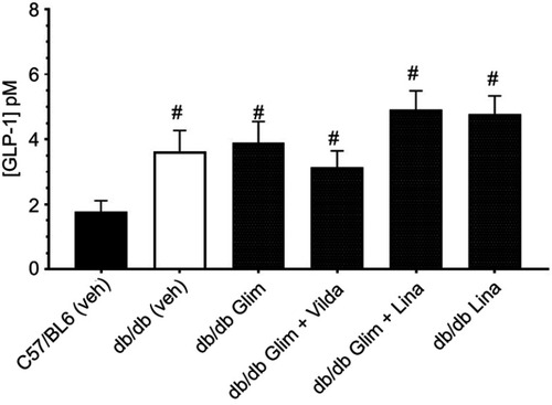 Figure 2 The plasma concentration of glucagon-like peptide 1 (GLP-1) was significantly lower in C57/BL6 compared to db/db mice. GLP-1 concentration was not affected by any of the treatments. Data are expressed as mean ± SEM. #Significantly different compared to C57/BL6 (veh), p<0.05 one-way ANOVA and Sidak’s test, n=10–12.