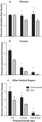 Fig. 6. Per cent extractive-free material attributed to (A) glucose, (B) fucose and (C) all other neutral carbohydrates (mannose, galactose, xylose, arabinose) for each chemical treatment of Laminaria setchellii blades. Error bars indicate 95% confidence intervals. Asterisks indicate a significant difference (p < 0.05) between treatments.
