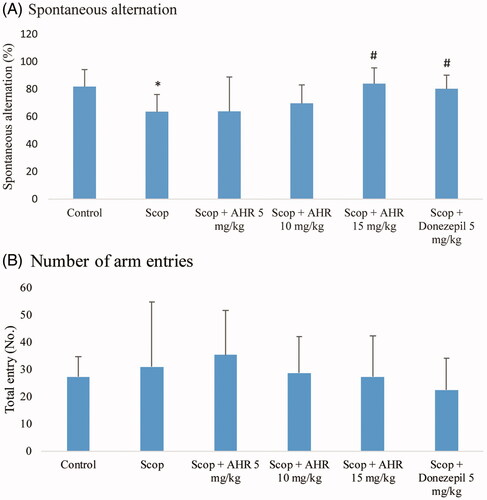 Figure 2. The effect of AHR on memory and cognitive impairments induced by scopolamine in mice as measured by the Y-maze test. Spontaneous alternation behaviour (%) (A) and numbers of arm entries (B) during a 10 min test session were recorded. Data are presented as mean ± SEM (n = 10 per group).