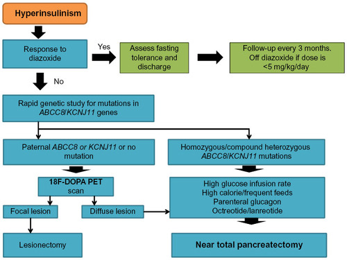 Figure 2 Outline of the management of congenital hyperinsulinism.