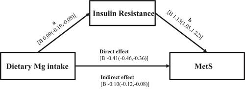 Figure 2 The role of insulin resistance in the association between dietary magnesium intake and MetS. Zero not included in the 95% CI represents statistical significance. MetS: Metabolic syndrome. Regression a indicated that dietary magnesium intake was negatively associated with HOMA-IR and regression b demonstrated that there was a significant positively association between HOMA-IR and Mets.