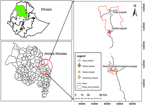 Figure 1 Geographical areas of selected study hospitals.