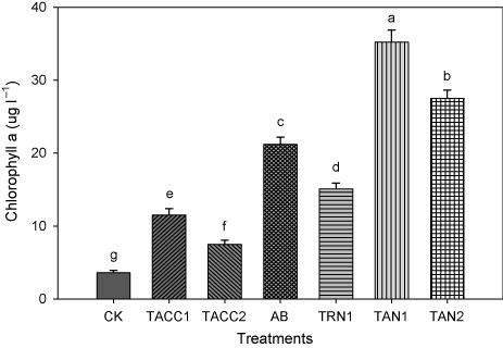 Figure 8. Comparative effectiveness of ACC-deaminase and/or nitrogen-fixing rhizobacteria on chlorophyll a content of tomato. Different letters (a–g) on bars indicate significant differences of mean values for chlorophyll content. Bars represent standard errors.CK, control; AB, Azotobacter