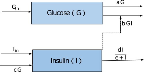 Figure 1. The glucose–insulin system diagram.