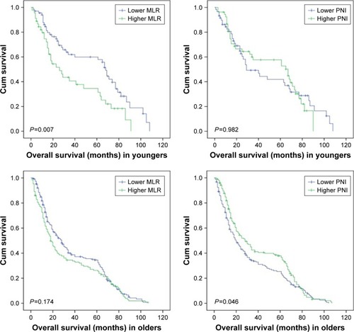 Figure 3 Survival analysis of MLR and PNI in younger and older gastric cancer patients.