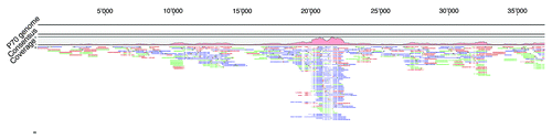 Figure 1. Sanger read pile-up in the assembly of a shotgun library sequencing approach of Listeria phage P70. Image captured from CLC Genomics Workbench 5.1. Upper scale shows sequence length in bp. Green are forward reads, red are reverse reads. Blue are mate-pair reads. Light green and light read color indicates trimmed sequence parts. The coverage plot shows the region of sequence and cloning bias, which features a significant higher coverage (up to 55-fold) than the rest of the contig sequence (2–21 fold).