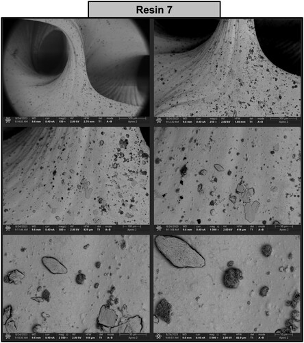 Figure 19. Photographs of a print obtained with resin 7 using DLP technology; images obtained on a scanning electron microscope.