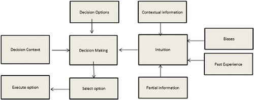 Figure 2. Overview of entrepreneur decision-making process.