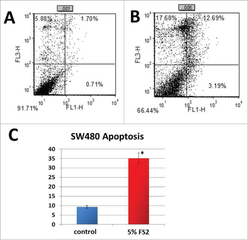 Figure 2. Shown is the measured apoptosis rates analyzed by Annexin V/PI double staining and flow cytometry detection (A+B). Treatment with FS2 significantly increased the apoptosis rate inSW480 cells treated by 3.75 fold compared to water treated controls (C).
