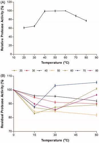Figure 4. Effect of temperature on activity (A) and stability (B) of the purified protease from A. pallidus C10.