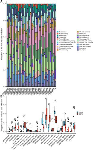 Figure 9 Immune infiltration of COPD lung tissues compared with normal tissues. (A) Stack bar chart of proportions of the immune cells infiltration. (B) Box plot of proportions of the immune cells infiltration. The significance markers are shown as: ns, P>0.05; *, P<0.05; **, P<0.01; ***, P<0.001.