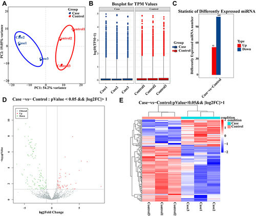 Figure 5 Differential expression and characteristics of miRNAs between allergic asthma and healthy controls.