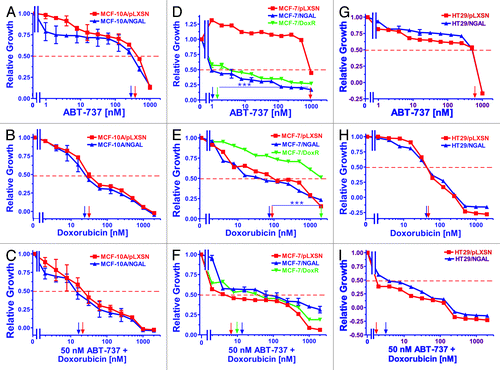 Figure 2. Sensitivity of NGAL- and pLXSN-infected cells and doxorubicin-resistant MCF-7/DoxR cells to the Bcl-2 inhibitor ABT-737, doxorubicin and the combination of doxorubicin and a constant dose of 50 nM ABT-737. Cells were collected and seeded (2,000 cells/well) in 96-well plates. The following day, serial 2-fold dilutions of ABT-737 (A, D and G), doxorubicin (B, E and H) or serial 2-fold dilutions of doxorubicin and a constant dose of 50 nM ABT-737 (C, F and I) were added to the wells. Four days later, MTT assays were performed. (A–C) MCF-10A/pLXSN (solid squares), MCF-10A/NGAL (solid upright triangles), (D–F) MCF-7/pLXSN (solid squares), MCF-7/NGAL (solid upright triangles) and 25 nM doxorubicin-selected MCF-7/DoxR cells (solid downward triangles), (G–I) HT-29/pLXSN (solid squares), HT-29/NGAL (solid upward triangles). A hatched horizontal line is present at the 50% relative growth mark from which the IC50 can be calculated. A vertical arrow indicates the IC50. The statistical significance was determined by the unpaired t-test (***, p < 0.001). All the experiments in this figure were performed at the same time (set up on the same day). These experiments were repeated multiple times and similar results were obtained.