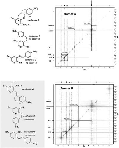 Figure 2. NOESY spectra of 3m isomer A and 3m isomer B and their possible conformations (for the best visualization of the content, see electronic supplementary information, page S20 and S22).