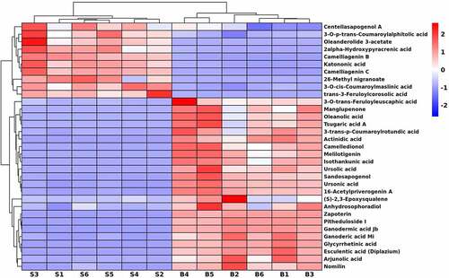 Figure 6. Hierarchical cluster heatmap of triterpenoids in U. parvifolia seeds and bark.