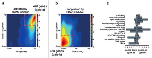 Figure 4. Top genes predicted by meta-analysis are consistent with NGS gene expression and histone acetylation HDACi datasets. RNA-seq and ChIP-seq data from non-diabetic HAECs exposed to SAHA was obtained from GEO (GSE37378). A density plots shows the relationship between gene expression (RNA-seq) and histone acetylation at promoters (ChIP-seq) in response to SAHA in HAECs for the top 1000 (a) activated and (b) suppressed HDACi response genes as defined by the meta-analysis (legend: relative gene density). The gated red boxes highlight genes with (a) increased gene expression and acetylation or (b) decreased gene expression and acetylation by SAHA in HAECs. These genes were then classified based on (c) broad functional classes defined by the network analysis.
