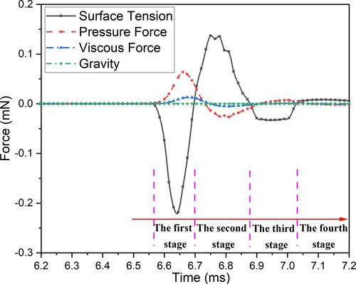 Figure 4. Force evolution during particle oscillation.