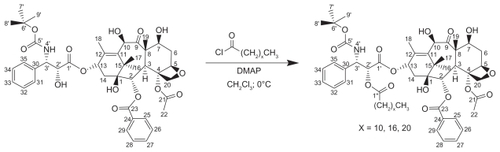Figure 1 Synthesis of 2′-docetaxel conjugates.