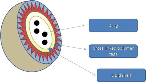 Figure 7. Schematic representation of polymer caged NPs.