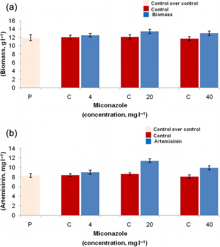 Figure 5. Effect of miconazole (4, 20, and 40 mg l−1) on (a) biomass production and (b) artemisinin production by hairy root cultures of A. annua L. Values are the means of three independent experiments ± SE.