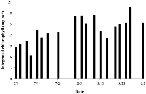 FIGURE 7. Integrated chlorophyll (through whole water column) in Upper Dumbell Lake.