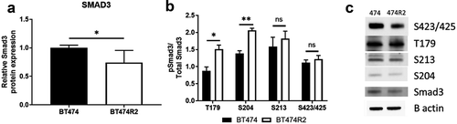 Figure 2. Alterations in protein expression for BT474R2 compared with BT474 cell (a) SMAD3, (b) pSMAD3, (c) Blot image for each protein. *p < .05, **p < .01