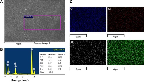 Figure 3 The FESEM images of the Si–Sr-TNs (A), the EDS elemental spectrum (B), and EDS mapping spectrum (C) of the Si–Sr-TNs.Abbreviations: EDS, energy-dispersive spectroscopy; FESEM, field-emission scanning electron microscopy; Si, silicon; Sr, strontium; TNs, titania nanotubes.
