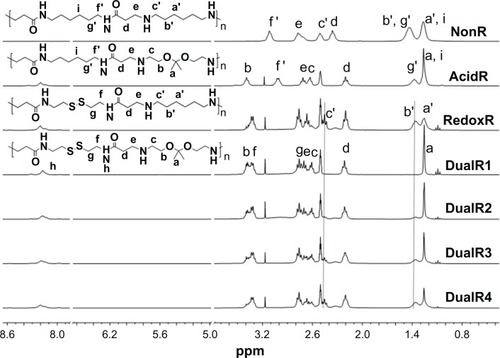 Figure 2 1H-nuclear magnetic resonance spectra of DualR1, DualR2, DualR3, DualR4, RedoxR, and AcidR in d6-dimethylsulfoxide, and NonR in D2O.Abbreviations: NonR, non-responsive; AcidR, acid responsive; RedoxR, redox responsive; DualR, dual responsive.