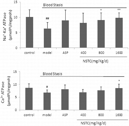 Figure 2. Effect of NSTC on the Na+–K+ ATPase and Ca2+ ATPase activity in brain tissues. NSTC: NaoShuanTong capsule; ASP: aspirin. Groups: control group, model group, ASP group (100 mg/kg/d) and three NSTC groups (400, 800 and 1600 mg/kg/d). Control group and model group received the same volume of normal saline (NS) for the treatment (10 ml/kg/d). Each bar represents the Na+–K+ ATPase and Ca2+ ATPase activity as mean ± SD, n = 10.Note: #P < 0.05 and ##P < 0.01 when compared with control group. *P < 0.05 and **P < 0.01 when compared with model group.