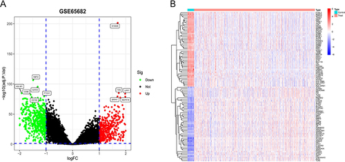 Figure 1 Profile of differentially expressed genes in both sepsis patients and controls. (A)Volcano plot in GSE65682. Green nodes represent downward modulation; red nodes indicate upward modulation; black nodes indicate no significant difference. (B)The expression of 100 DEGs in septicemic and control samples is represented in the form of a heatmap, with red representing up-regulation and blue representing down-regulation.