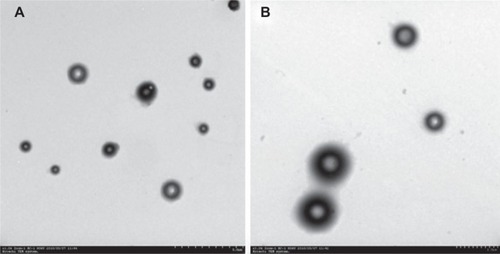 Figure 1 Transmission electron micrographs of the pFDNA-CS/PLGA-NPs at (A) 1,000×magnification and (B) 3,000× magnification.Abbreviation: pFDNA-CS/PLGA-NPs, chitosan-coated Newcastle disease virus F geneencapsulated in poly(lactic-co-glycolic) acid nanoparticles.