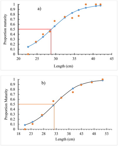 Figure 5. Length at first maturity (Lm50) for males (a) and females (b) C. carpio var. communis in Lake Arekit from June 2022 to May 2023.