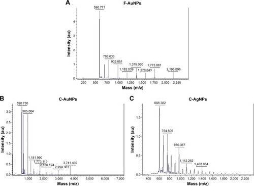 Figure 8 MALDI-TOF spectra for F-AuNPs (A), C-AuNPs (B) and C-AgNPs (C).Notes: Ions identified in the spectra: F-AuNPs: 197Au3+ (calculated value 590.8997), 197Au4+ (787.8663), 197Au6+(1,181.799), 197Au11+ (2,166.632), 197Au12+ (2,363.599), 197Au13+ (2,560.565), 197Au14+ (2,757.532), 197Au15 (2,954.498531), 197Au16+ (3,151.465) 197Au17+ (3,348.432). C-AuNPs: 197Au3+ (calculated value 590.8997), 197Au6+ (1,181.799), 197Au11+ (2,166.632), 197Au13+ (2,560.565), 197Au16+ (3,151.465) 197Au17+ (3,348.432). C-AgNPs: 107Ag7+ (calculated value 755.0774), 107Ag9+ (970.8138), 107Ag11+ (1,186.5502), 107Ag13+ (1,402.2866), 107Ag15+ (1,618.023).Abbreviations: C-AgNPs, core–silver nanoparticles; C-AuNPs, core–gold nanoparticles; F-AuNPs, fiber–gold nanoparticles; MALDI-TOF, matrix-assisted laser desorption ionization time-of-flight.