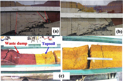 Figure 14. Local failure characteristics of the model after the model failure: (a) roof caving angle; (b) movement track and displacement of overburden; (c) ground surface fractures caused by overburden movement.