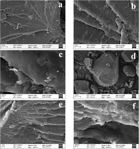 Figure 7. SEM images of P(AM-co-AAc) (a: 1000X, b: 5000X and c: 20,000X) and P-gel (d: 1000X, e: 5000X and f: 20,000X).