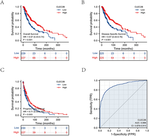 Figure 2 Survival in patients with high and low CLEC2B. (A) OS. (B) DSS. (C) PFI (D) ROC analysis illustrated that CLEC2B expression accurately discriminated SKCM tumor tissues from normal tissues.