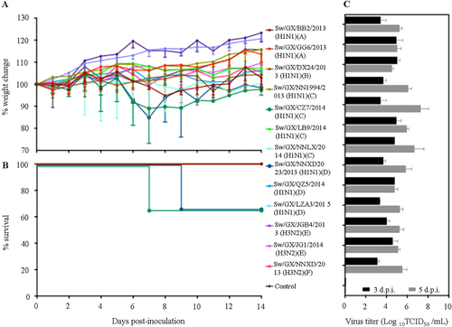 Fig. 3 Weight variation (a), survival rates (b), and replication (c) of novel reassortant IAVs-S in mice. Mice in each group were infected intranasally with 5 × 104 TCID50 of virus in a volume of 50 µL. The body weight and survival rates of mice were measured over 14 days. Virus titers of lung on 3 and 5 days post infection (d.p.i.) were shown as the mean titers of three mice