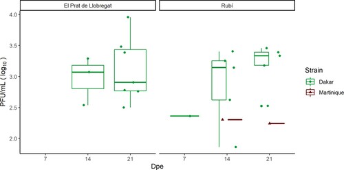 Figure 2. ZIKV loads in saliva (Plaque forming units [PFU/mL]) of infected female mosquitoes from two field-collected Ae. albopictus mosquito populations (El Prat del Llobregat and Rubí) exposed to Dakar and Martinique ZIKV strains. *Dpe: days post-exposure to the virus.