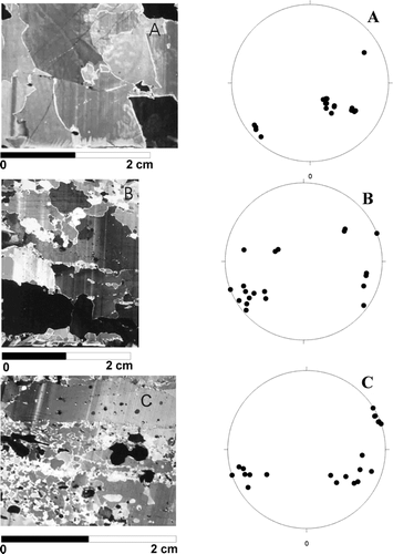 FIGURE 6. Pictures of thin sections of ice and corresponding Schmidt diagrams at different depths. (a) ice type a (cf. the text) at 4 m depth; (b) ice type b at 5.1 m depth; (c) ice type c at 5.7 m depth