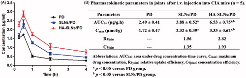 Figure 4. Concentration-vs-time curves (A) and pharmacokinetic parameters (B) of PD, SLNs/PD and HA-SLNs/PD in joints after intravenous injection into arthritis mice (n = 5).