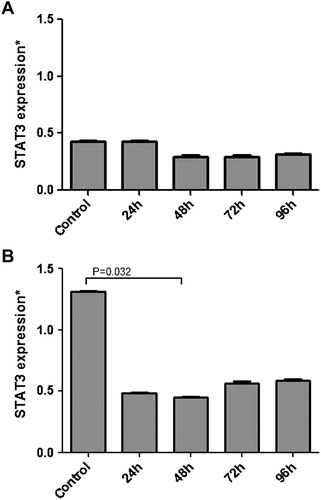 Figure 1. Relative mRNA expressional change of STAT3 in MP treated K-562 (A) and HL-60 (B) cells and also non-treated cells referring as control were evaluated by quantitative real-time RT-PCR (qRT-PCR). A significant decrease in STAT3 expression was seen especially at 48th hour (P < 0.05) in HL-60 cells.