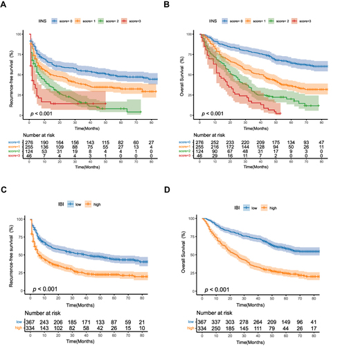 Figure 3 Kaplan–Meier survival curves of HCC patients after hepatectomy, stratified by (A and B) inflammation-immunity-nutrition score (IINS) or (C and D) inflammatory burden index (IBI).