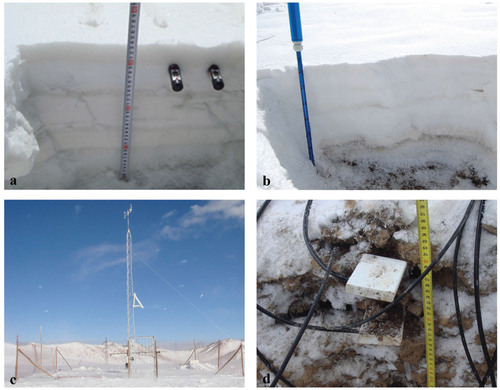 FIGURE 3. Observations of snow cover and soil parameters in the Binggou watershed, (a) Snow depth and temperature observation; (b) snow fork observation; (c) automatic weather station; and (d) soil temperature and moisture sensors.