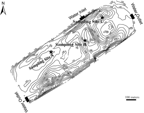 Figure 1. Sketch of the sampling sites located in the eutrophic lake. The closed curves were isobaths (in centimeter), and the isobath interval is 100 cm.