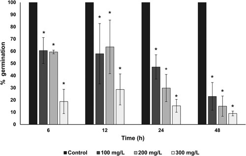 Figure 9. Sporicidal effect of fungal-biosynthesized AuNPs over Bacillus subtilis endospores. The inhibition of the endospore germination at different times of treatment with increasing concentrations (100, 200 and 300 mg/L) of AuNPs was used as a measure of the sporicidal activity of AuNPs. The percentage of germination of AuNPs-treated endospores was calculated concerning germinated untreated endospores (established as control). Asterisk (*) indicates significant differences determined by ANOVA (p < 0.05).